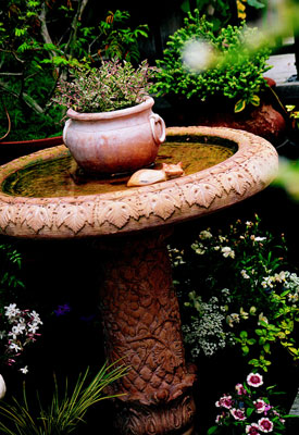 A bird bath with flowers growing in the middle of it
