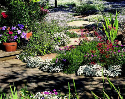 A separted stone pathway going through a garden bed