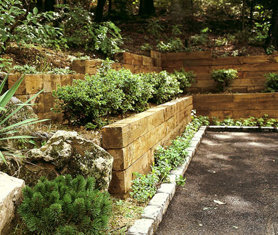 A wood retaining wall with many garden beds in it